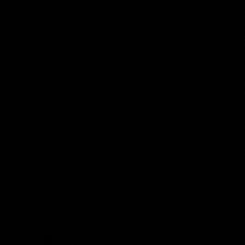 Profile image of ansari