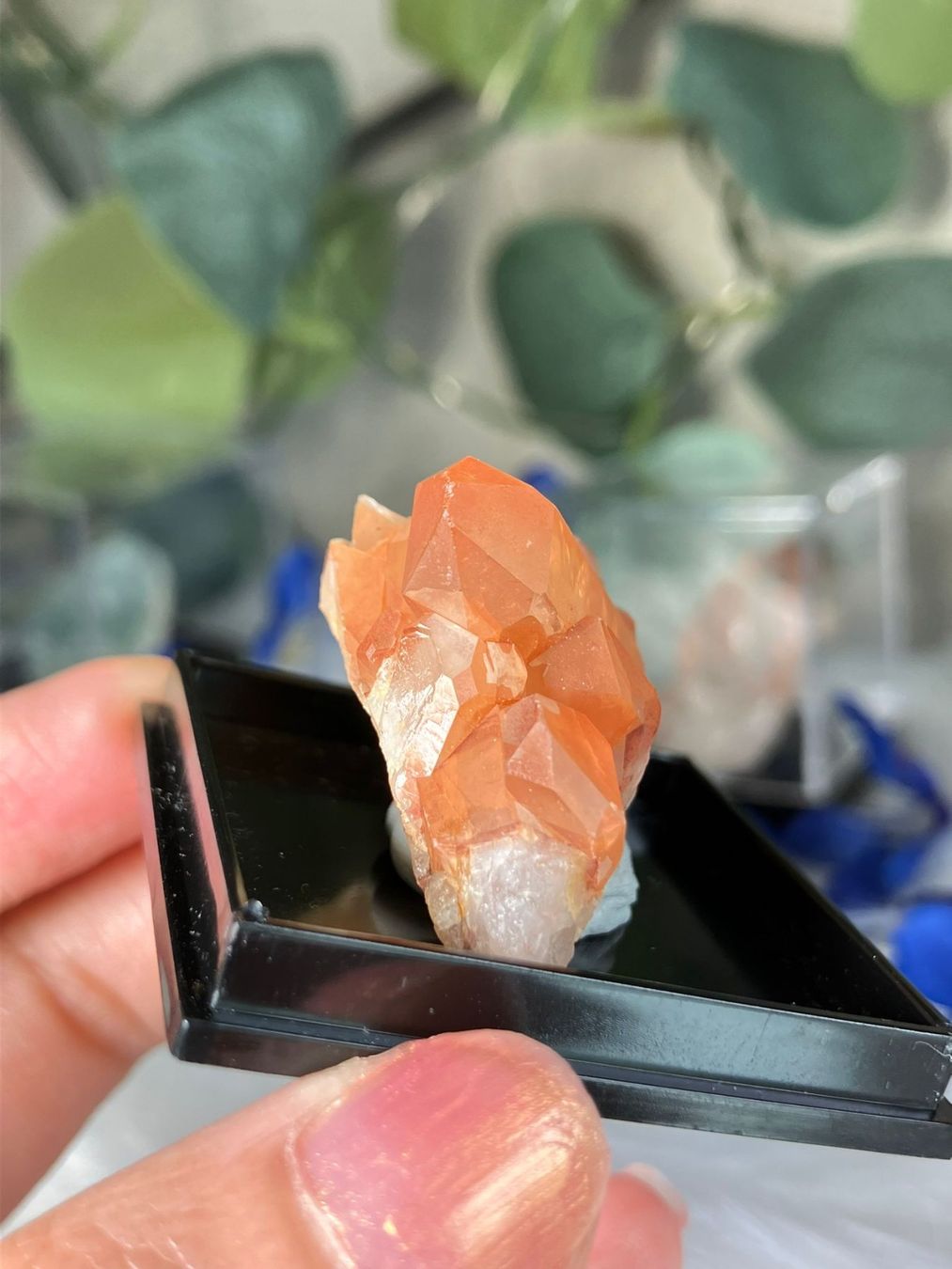 Minerali & Pietre curative: Tangerine Quarz-Cluster – Usato da Neuheim venduto da m.hald 2