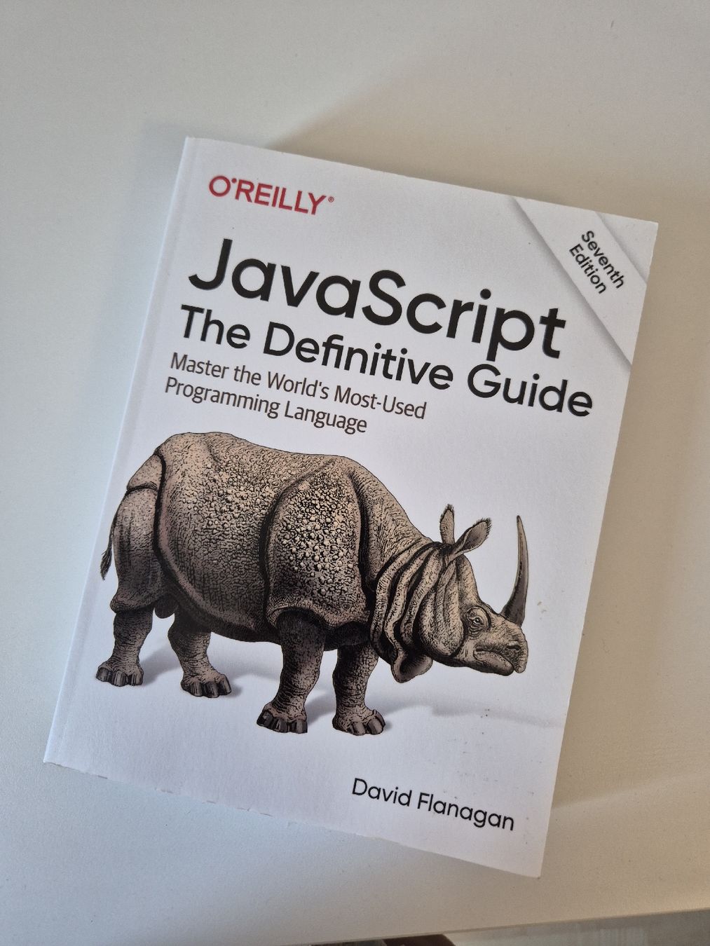 Bücher: JavaScript: The Definitive Guide, 7th Ed., Like New – Gebraucht aus Arzier-Le Muids von pol_p7py