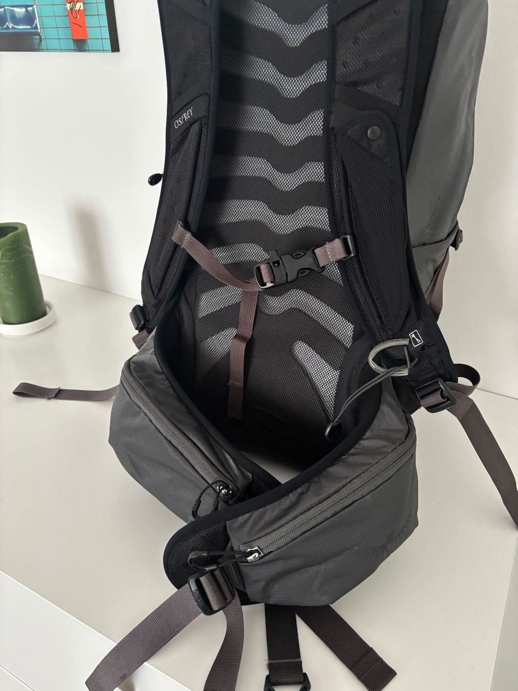 Osprey Sacs à dos: Osprey Talon 22 Rucksack – Neuf (Voir description) à Zollikon par halbkarat 4