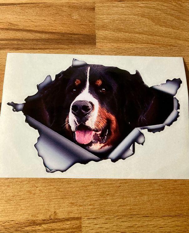 Autoaufkleber S072 NÖ ! 6x3,5cm Aufkleber Schwarz Weiß