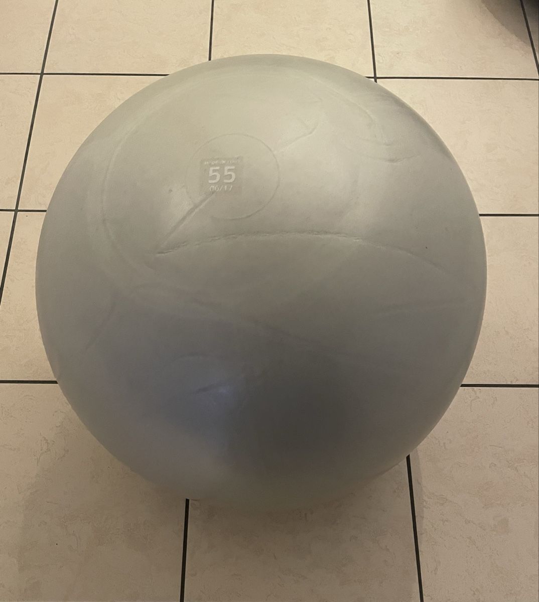 Technogym Palloni: Technogym Wellness Ball Active Sitting – Usato da Pregassona venduto da REEUP 3