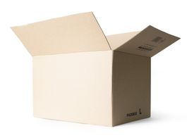 Packbox Grösse L, 1000 Stk.Blitzbodenkarton / Automatikboden