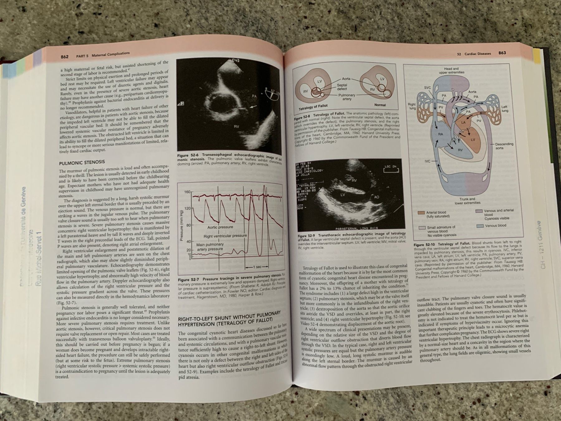Libri: Maternal-Fetal Medicine Principles and Practice 7th ed. – Usato da Genève venduto da sunsustains 9