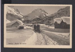 Maloja  - Pferdegespann + Schlitten auf alter Postkarte 1912