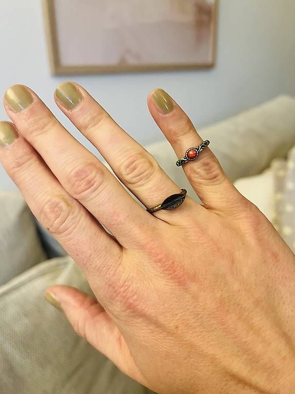 Ringe: 2 Ringe – Gebraucht aus Zürich von zucchetti13