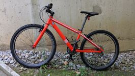 Kindervelo MTB Cycletech Speedster