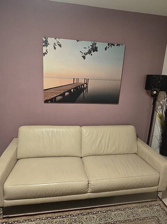 Divani: 2er und 3er Leder Sofa – Usato da Kaiseraugst venduto da atelPro 2