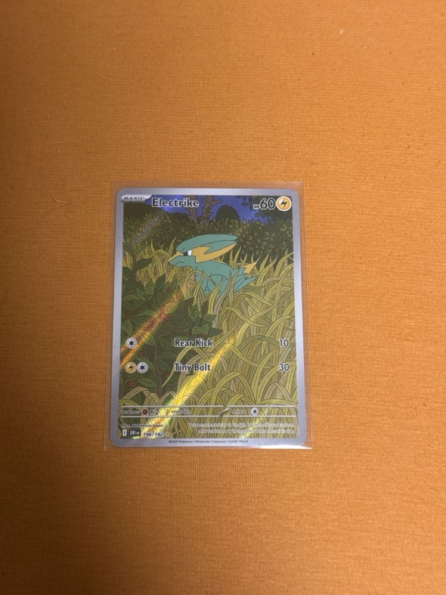 Pokémon Sammelbilder & Trading cards: Pokemon Karte Electrike – Neu (gemäss Beschreibung) aus Therwil von no15636677