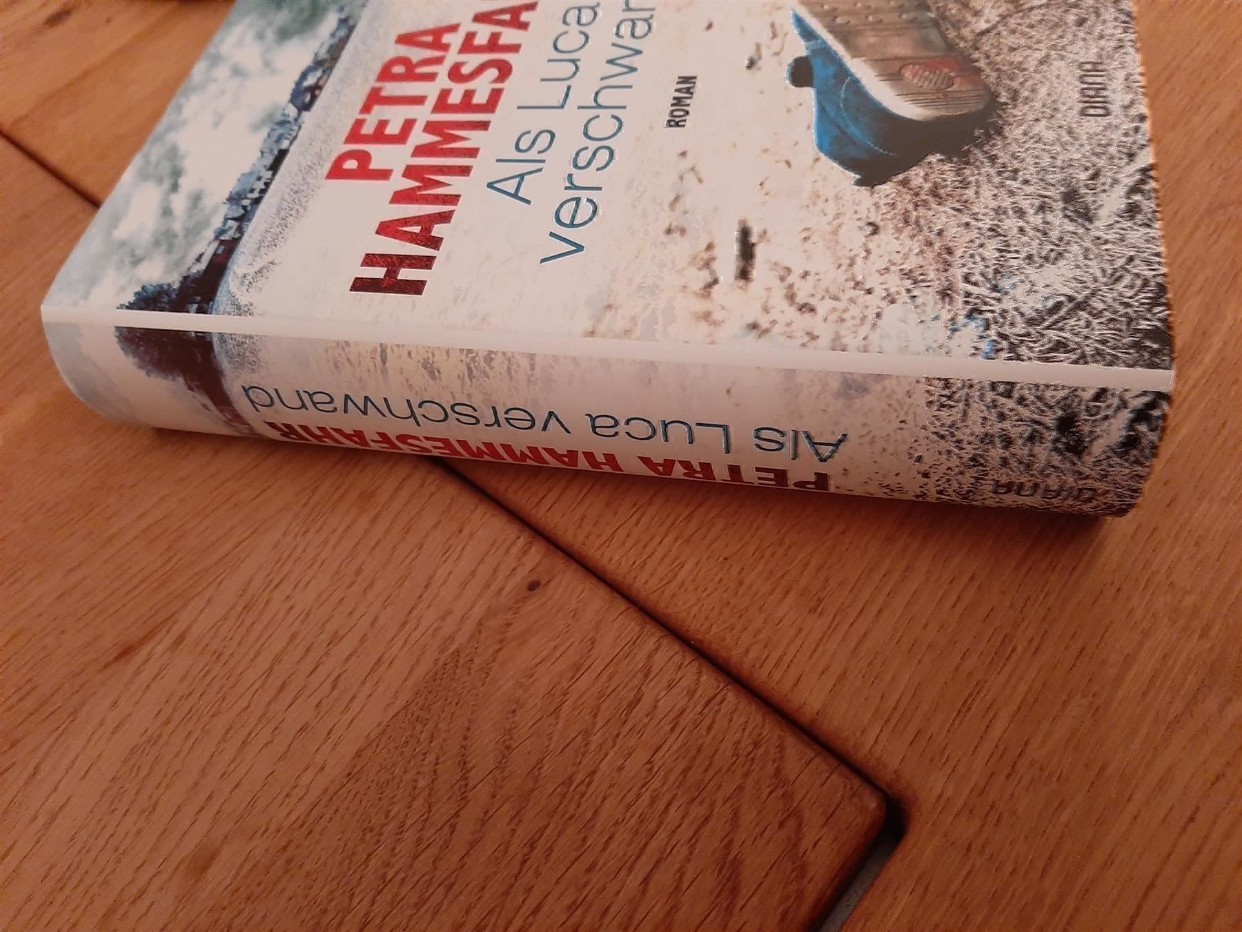 Libri: Petra Hammesfahr Als Luca verschwand – Nuovo (secondo la descrizione) da Affoltern am Albis venduto da Sabinezc 2