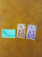 Lot de 3 timbres rares d'Espagne - Rio Muni - Plantes