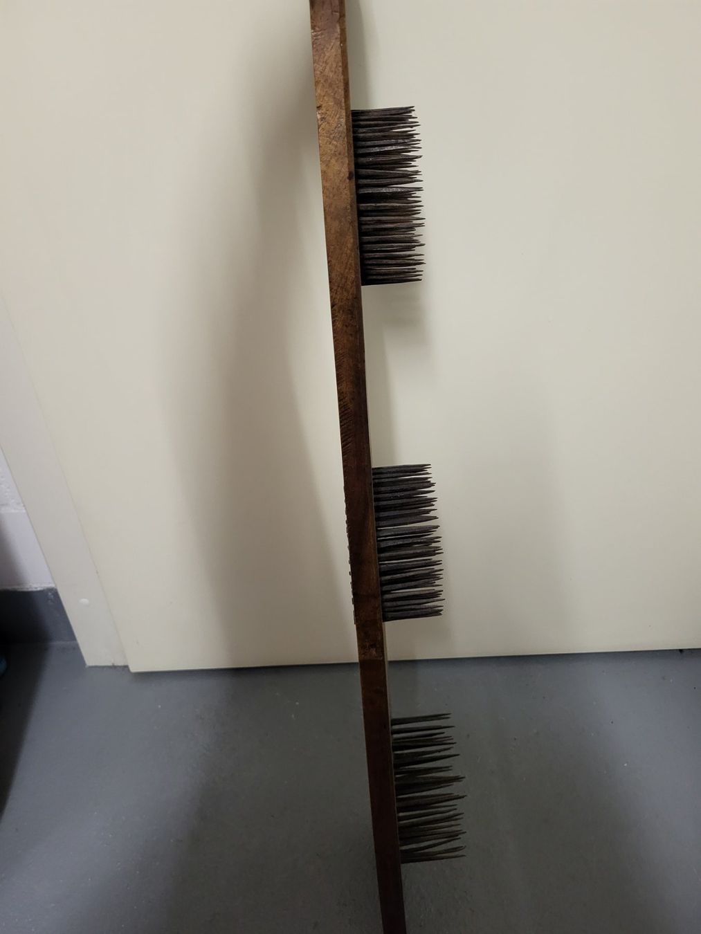Altro per la cura dei capelli: Antiker Holz-Wollkamm – Usato da Suhr venduto da lul_87gh 4
