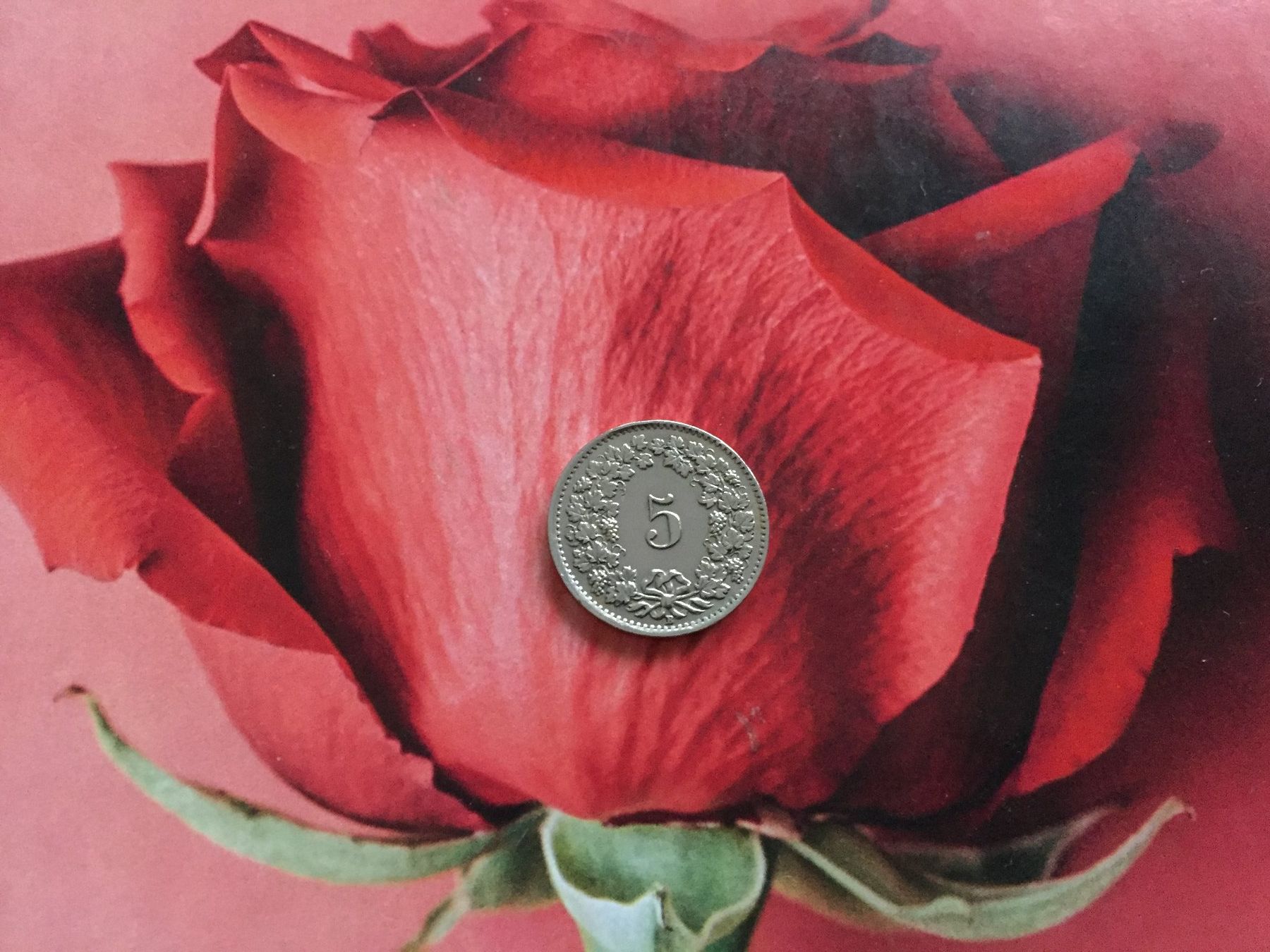 Tutti le monete: 5 Rappen 1943 -vz – Usato da Elsau venduto da herbybay 2