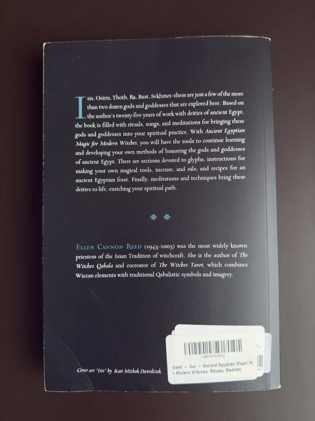 Libri: Ancient Egyptian Magic for Modern Witches – Usato da Schindellegi venduto da dancer12516 1