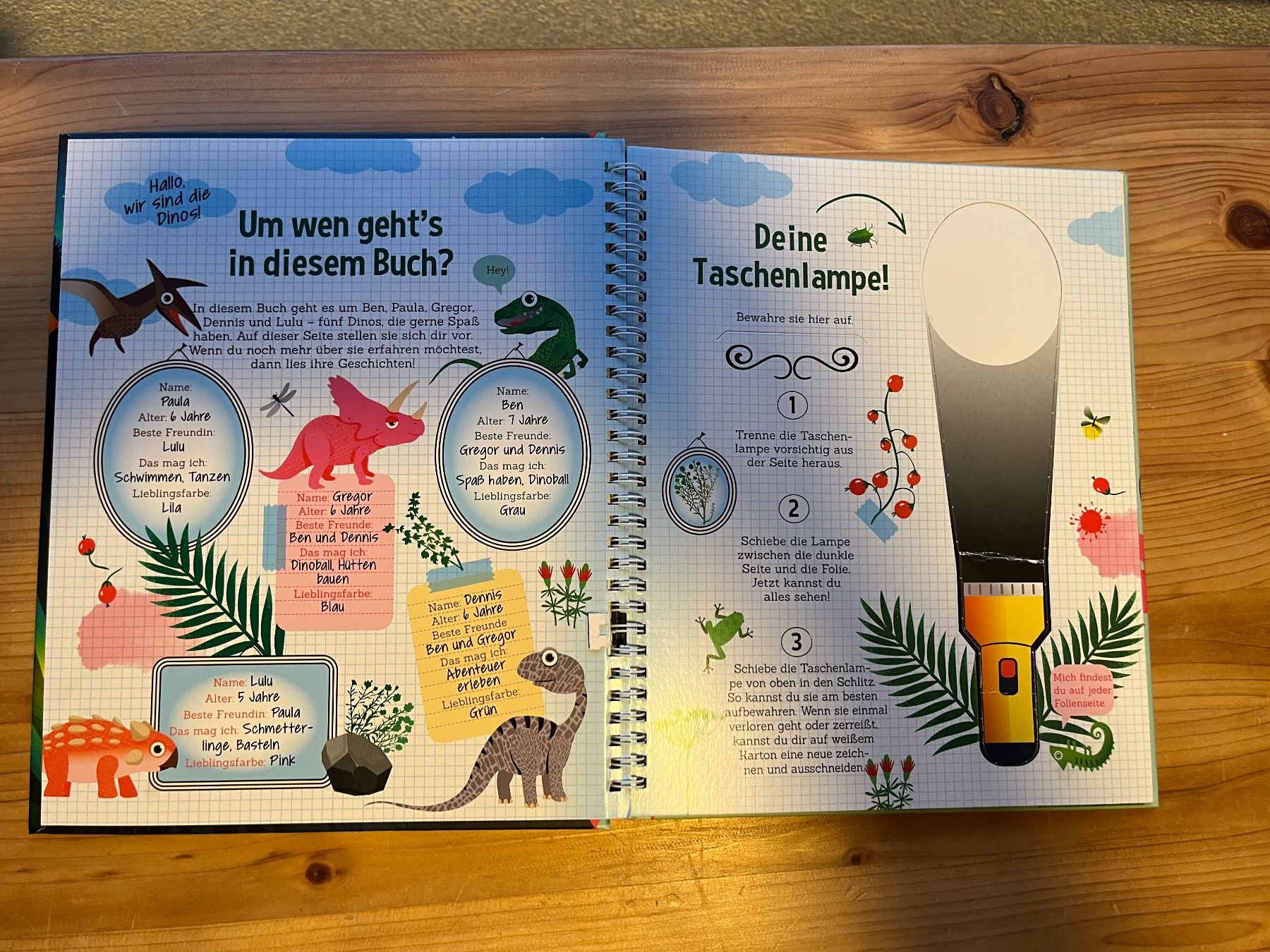 Libri: Dinosaurier Buch – Usato da Adelboden venduto da Jestil20 2