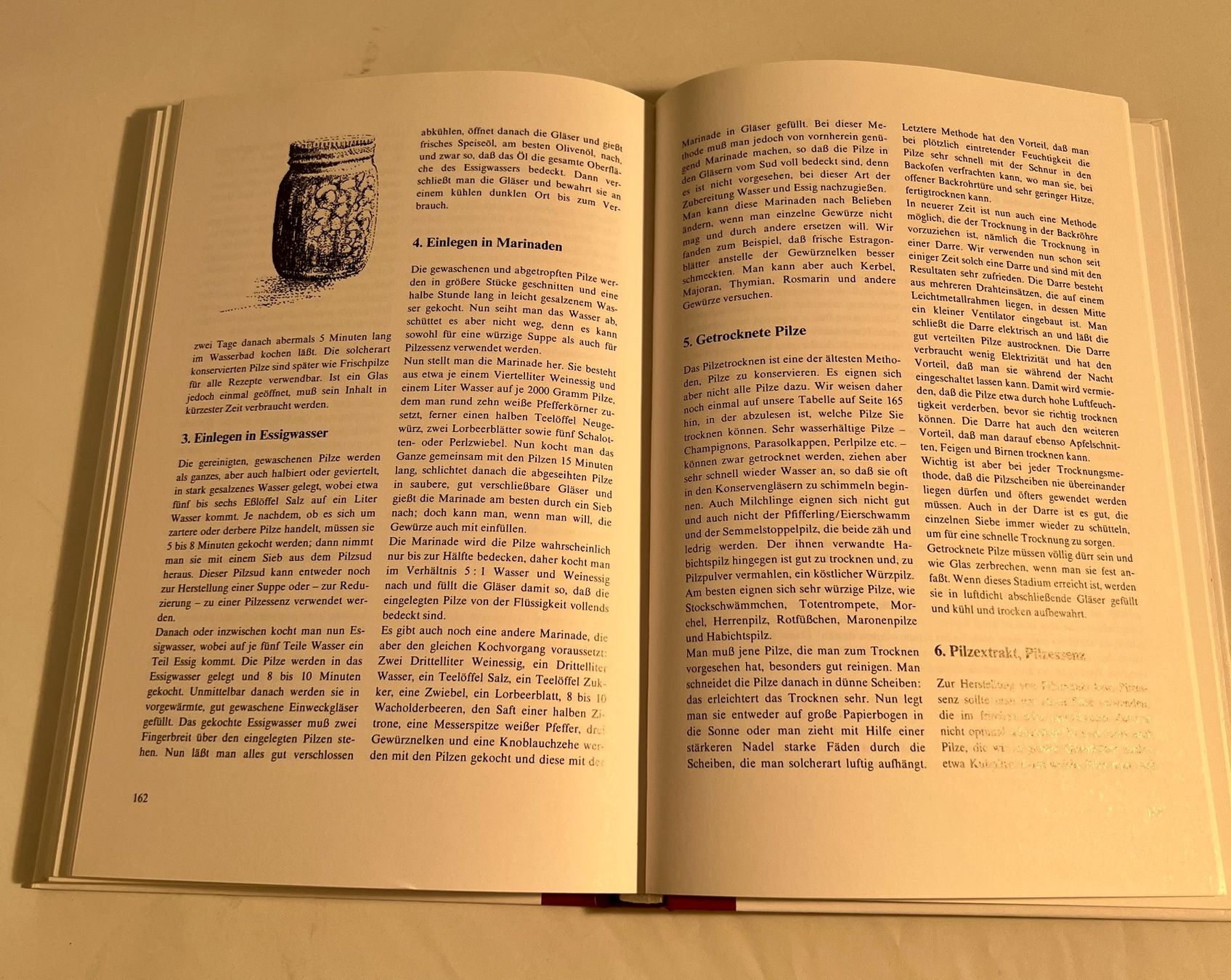 Libri: Pilze suchen, ein Vergnügen - Buch – Usato da Zürich venduto da Drahtzug 4