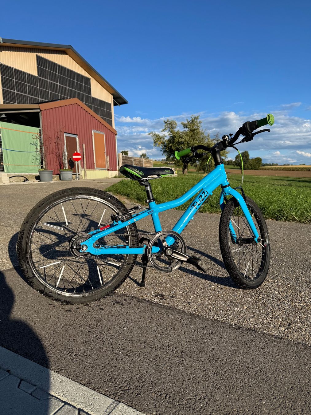Flizzi Velos: Kindervelo Flizzi 20" – Gebraucht aus Hämikon von Anaxagore