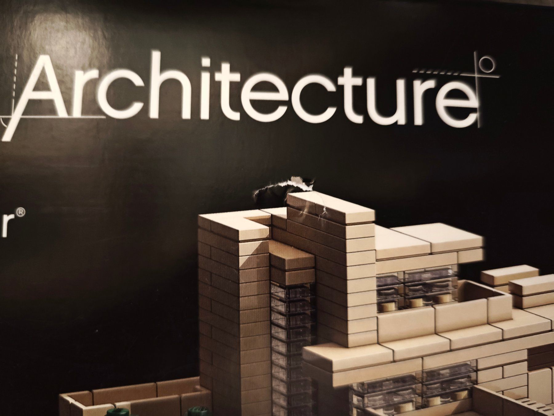Lego Kit di costruzioni: Lego Architecture, Set 21005, Fallingwater – Usato da Pfaffhausen venduto da seppentony 2