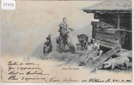 Dans les Alpes - Ziegen chevres, goat