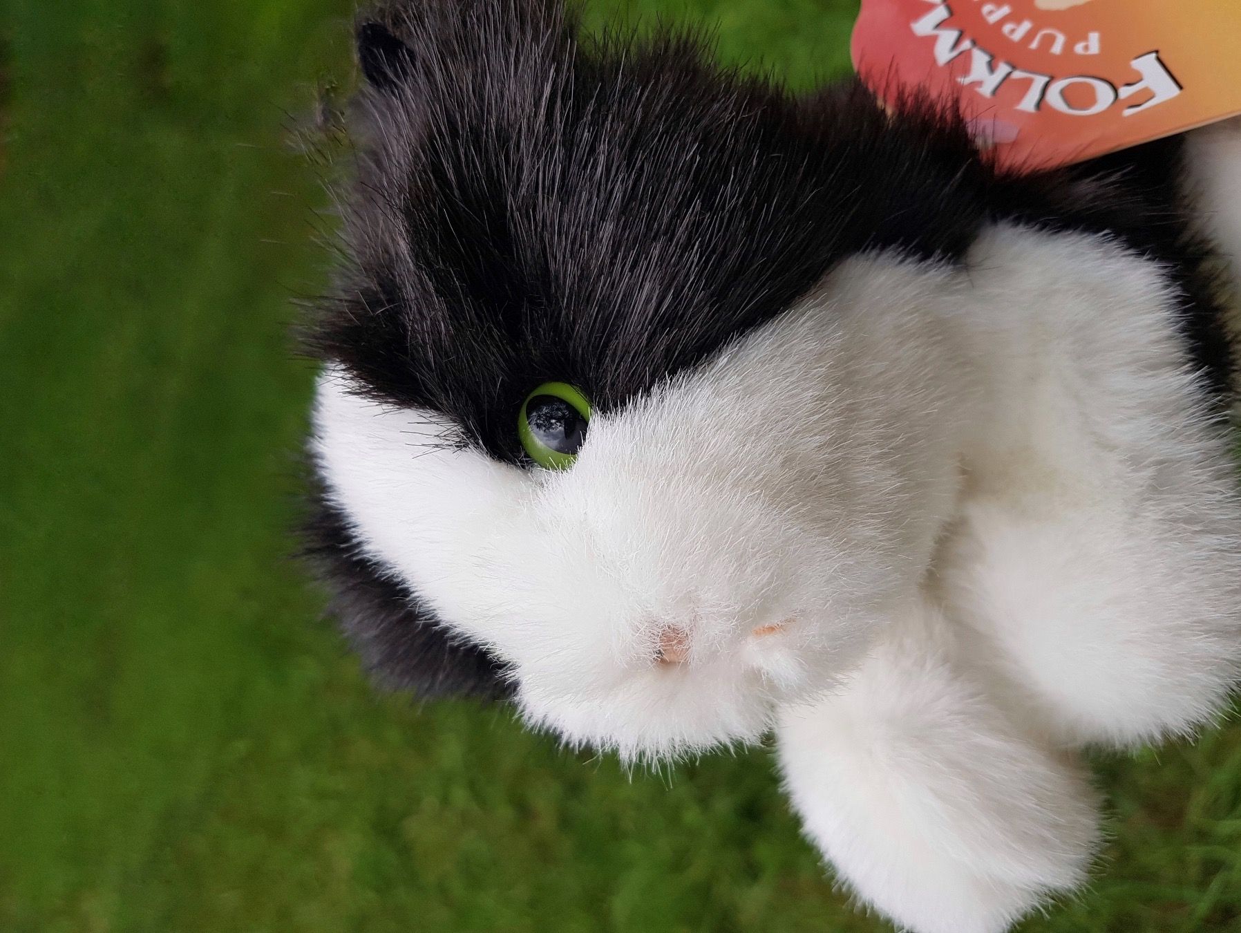 Bambole: FOLKMANIS: Handpuppe Kätzchen  / NEU – Nuovo e nell'imballaggio originale da Dürrenäsch venduto da Didaedi 2