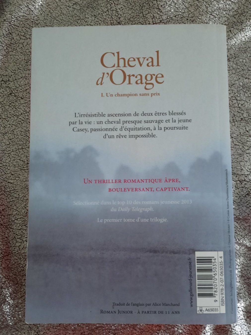 Libri: Cheval d'orage - roman de Lauren St John – Usato da Lausanne venduto da BrigitteAnne 1