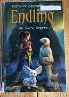 Fantasy Jugendbuch