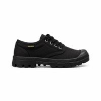 PALLADIUM UNISEX      GRÖSSE 37      INNENSOHLE  22.5 CM