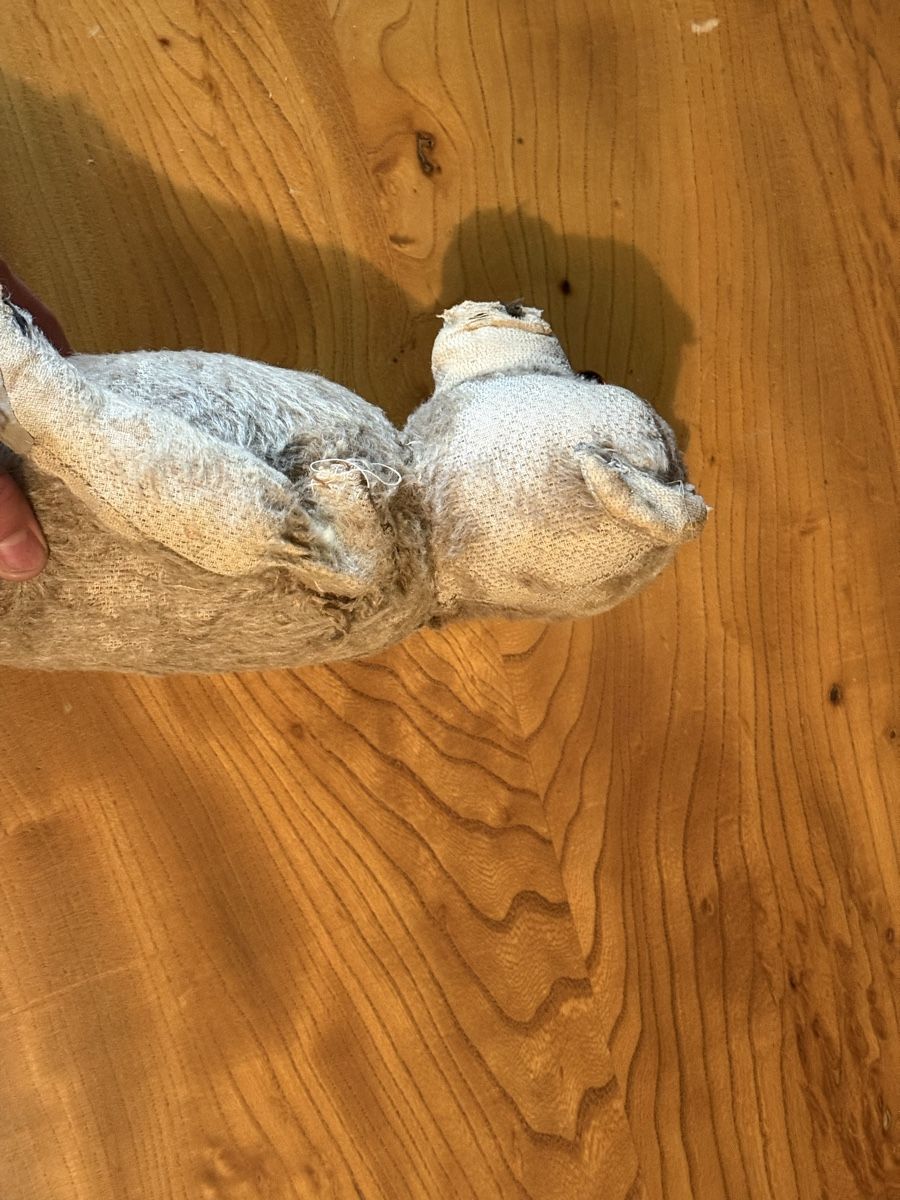 Giocattoli: Antik Teddybär – Usato da Sierre venduto da OCNL 4
