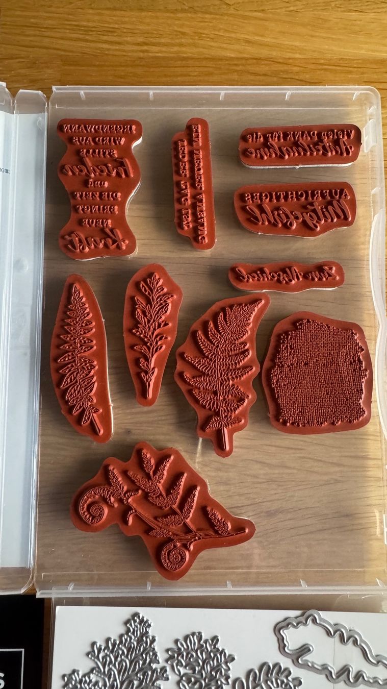 Stampin' up! Tampons: Stampin Up / Filigrane Farne / A – D'occasion à Neukirch (Egnach) par muolen 2