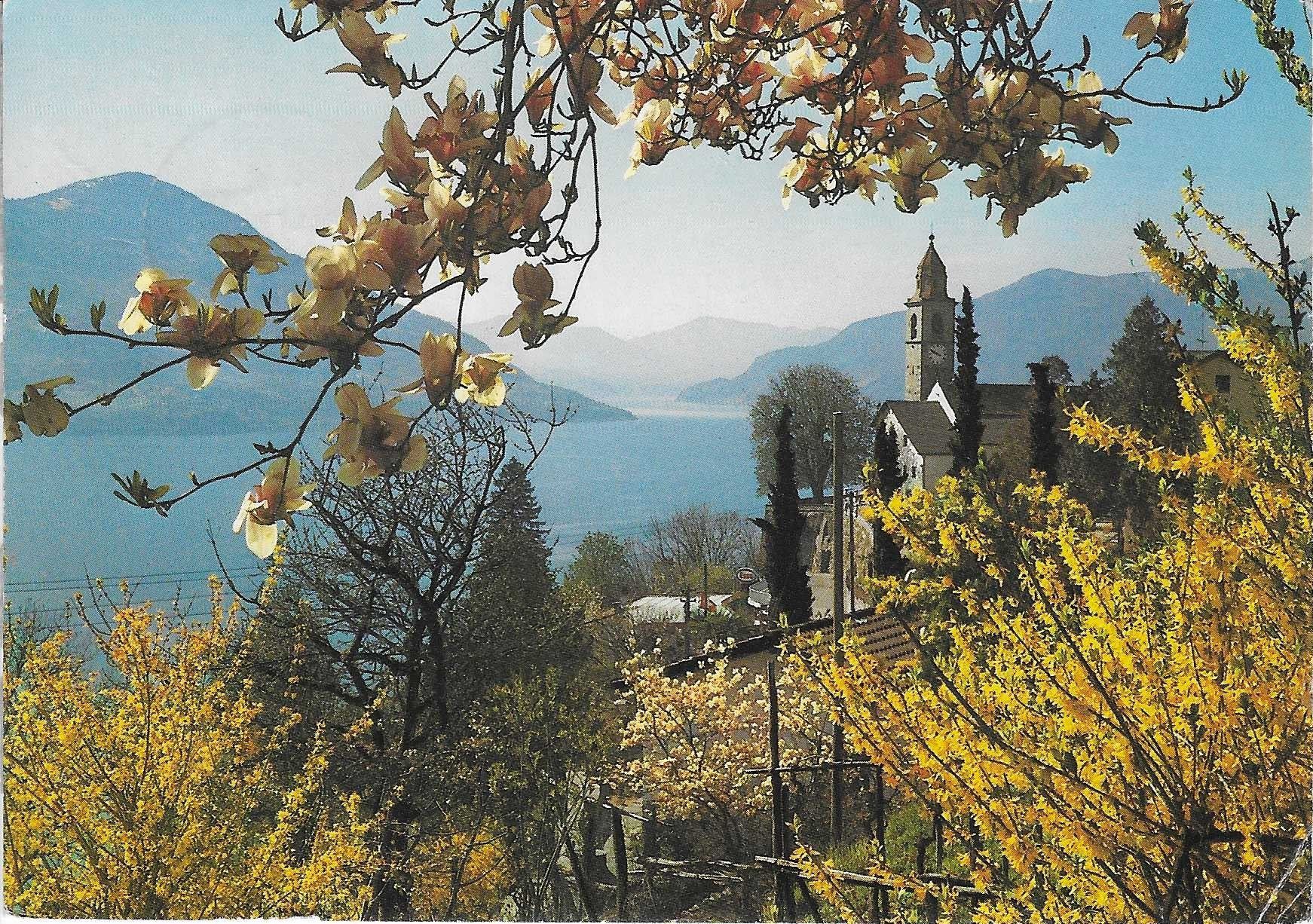 Cartoline postali: Ronco TI – Usato da Rothrist venduto da Stranglehold