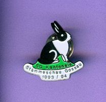 Stämmeschau  Gossau  1993/94