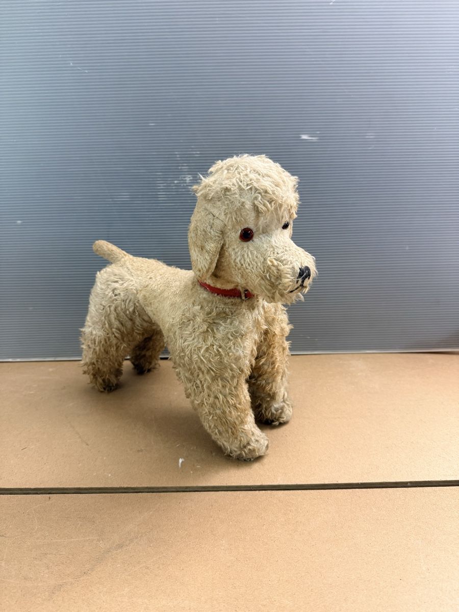 Giocattoli: Alter Plüschhund – Usato da Solothurn venduto da NUVICO 2
