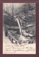 ZÜRICHBERG - Sagentobel - 1905