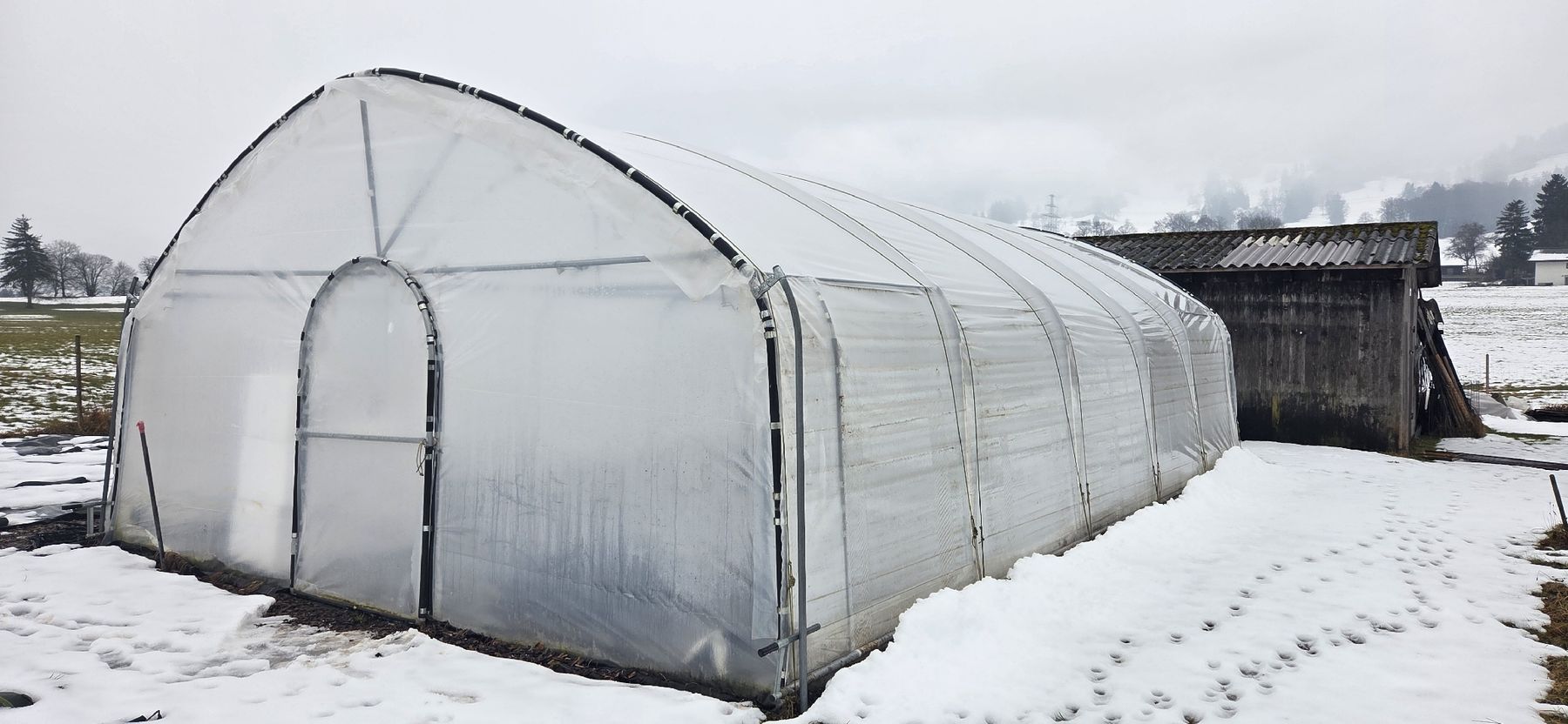Casette da giardino & serre: Folientunnel Hortuna – Usato da Thun venduto da Zuercherbern