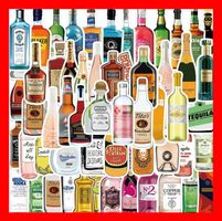 Alkohol Gin Wodka Whiskey Wein Flaschen 50 tlg Stickerset