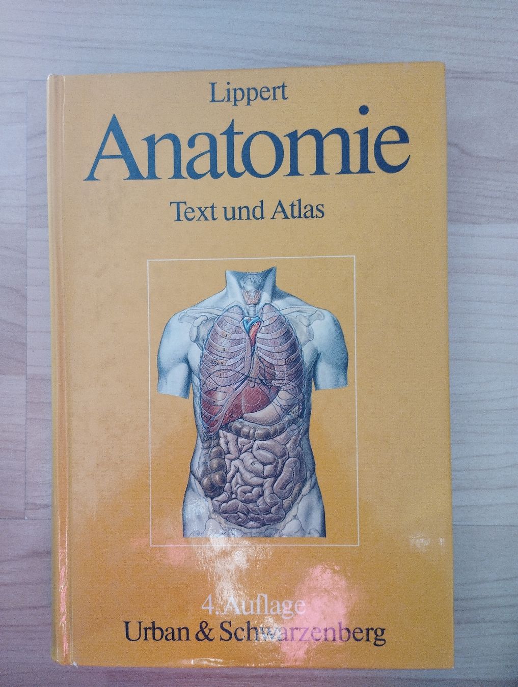 Libri: Anatomie Text und Atlas, Lippert – Usato da Richterswil venduto da topolone95