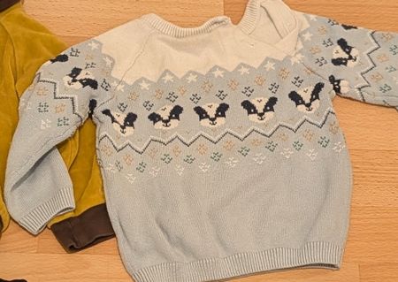 Baby Sweater with Badger Pattern Used Size Unknown