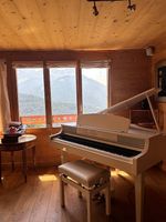 Yamaha Clavinova CLP-465GP - Piano numérique à queue