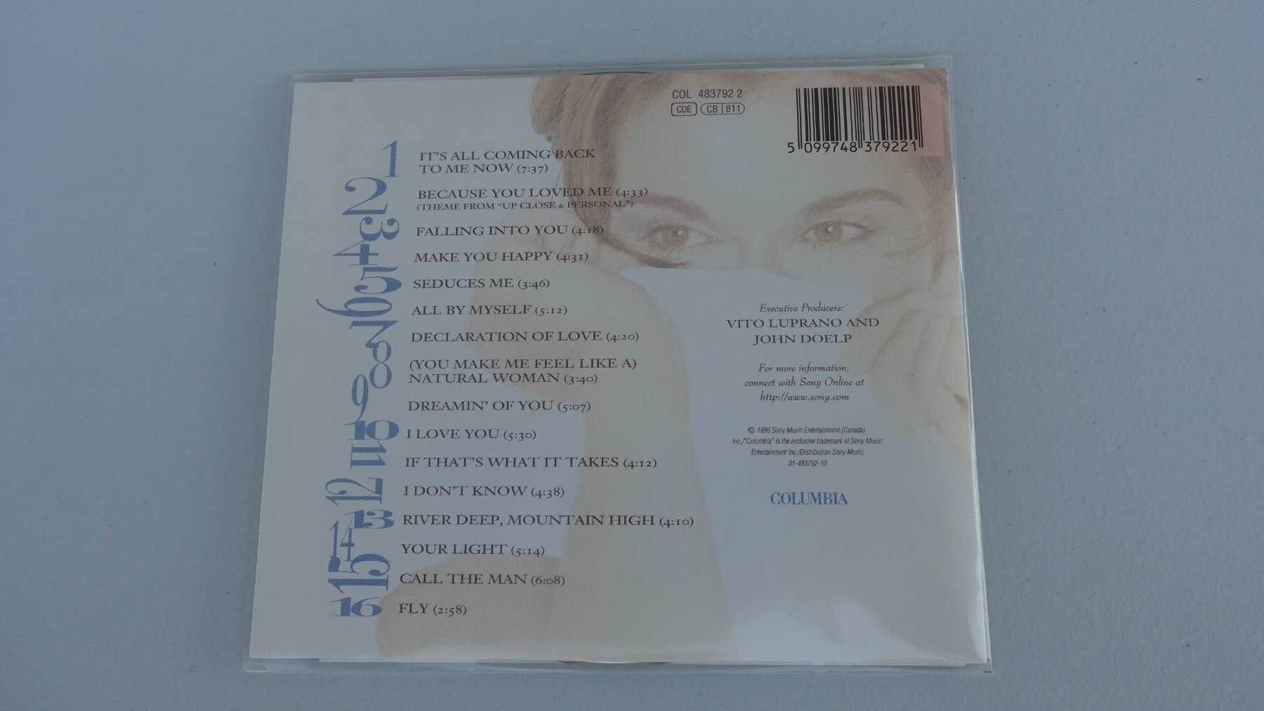 CD: CD - Céline Dion - FALLING INTO YOU – Usato da Schwyz venduto da Burnsdesign 1