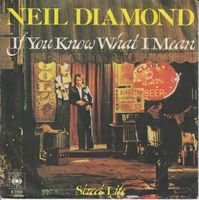 Diamond Neil: If You Know What I Mean 7"