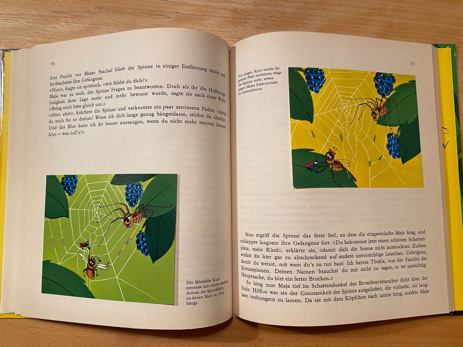 Libri: Die Biene Maja - Margret Mellert/Bernhard Meyer 1972 – Usato da Schwarzenburg venduto da Michellu 8