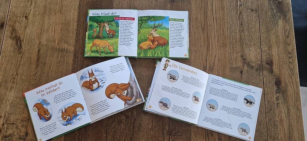 Libri: Bücherset 3Stk – Usato da DOTTIKON venduto da fabnico 1