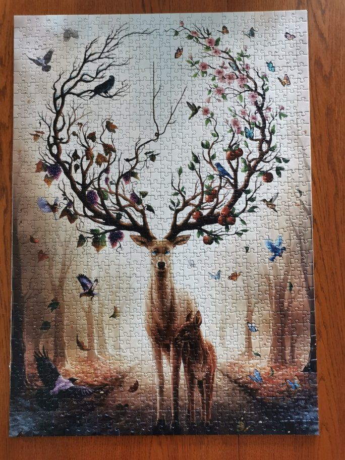 Puzzle: 2 Stk. Puzzle à 1'000 Teile – Usato da Birsfelden venduto da Dsternschnuppe 2