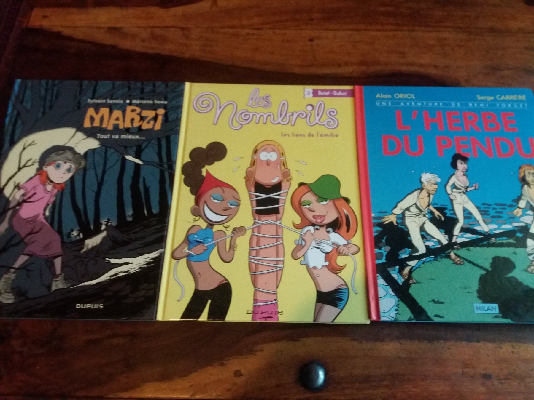 BD: Lot de 25 BD – D'occasion à Meyrin par toutatis 7