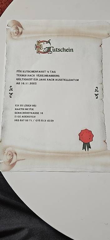 Carrozze: Kutschenfahrt 1/2 Tag – Usato da Aarau Rohr venduto da Adoxa 1