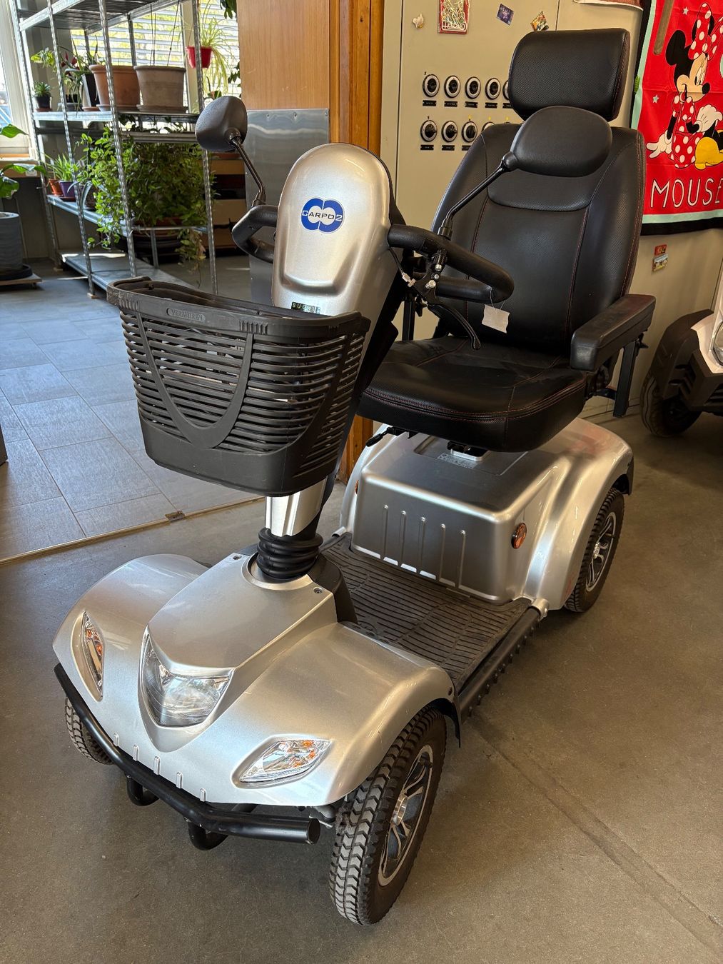 Veicoli elettrici: E-Mobil, Carpo 2 SE – Usato da Rodels venduto da julietta.libero 1