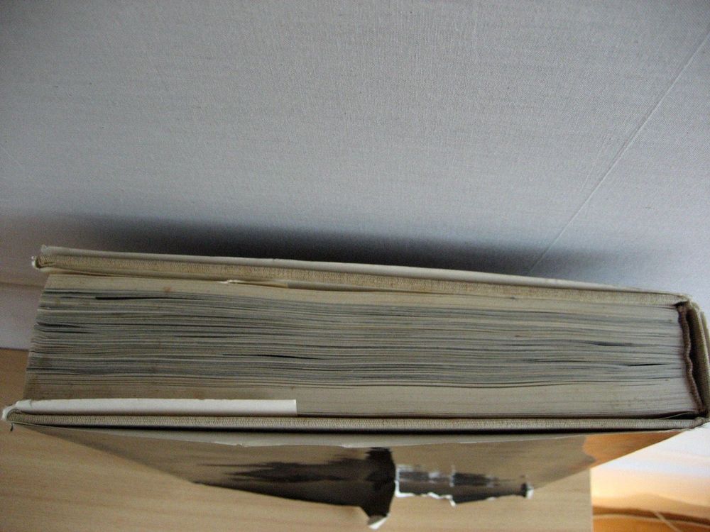 Hieronymus Bosch (Charles de Tolnay) Kaufen auf Ricardo