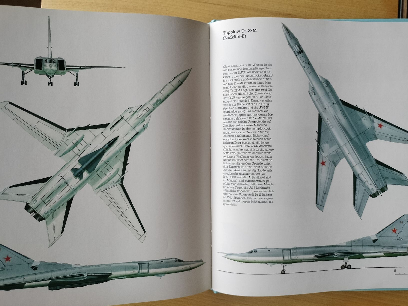 Libri: Buch , Militär Flugzeuge – Usato da Schwanden Sigrisw venduto da len_9yqg 8