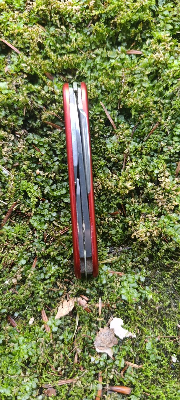 Victorinox Coltelli tascabile: Victorinox Taschenmesser  – Usato da Oppligen venduto da can_rf8g 5
