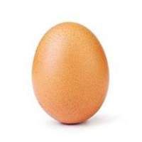 Profile image of Orizio